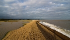 Shinglestreet-river_ore.jpg